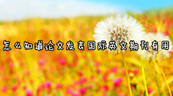 怎么知道论文发表国际英文期刊有用