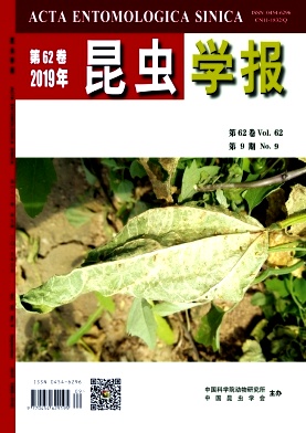 昆虫学报
