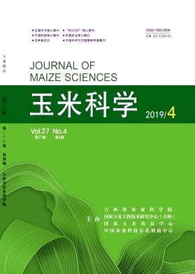玉米科学