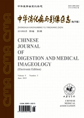中华消化病与影像